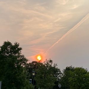 Meet your Posher, Anya